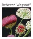 Rebecca Wagstaff